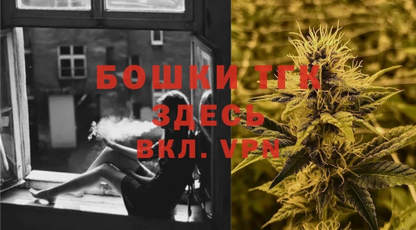 2c-b Каменка