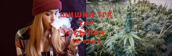 2c-b Каменка