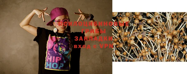 стаф Михайловка